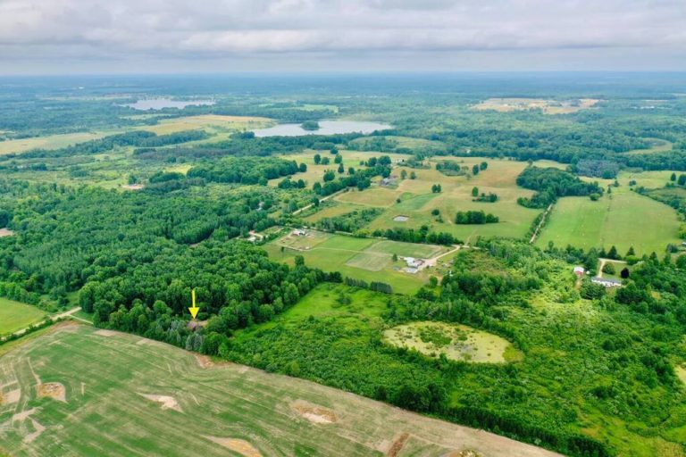 A 10 minute drive from downtown Evart, this cabin, located on 20 acres, surrounded by farmland, gives the perfect escape while allowing guests the option to explore the rest of this city.