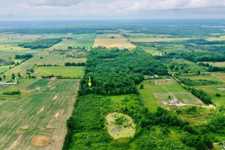 Aerial view of cabin location amid trees and farmland in this Evart, Michigan cabin — Coyote Fire Retreat, hosted by Roam