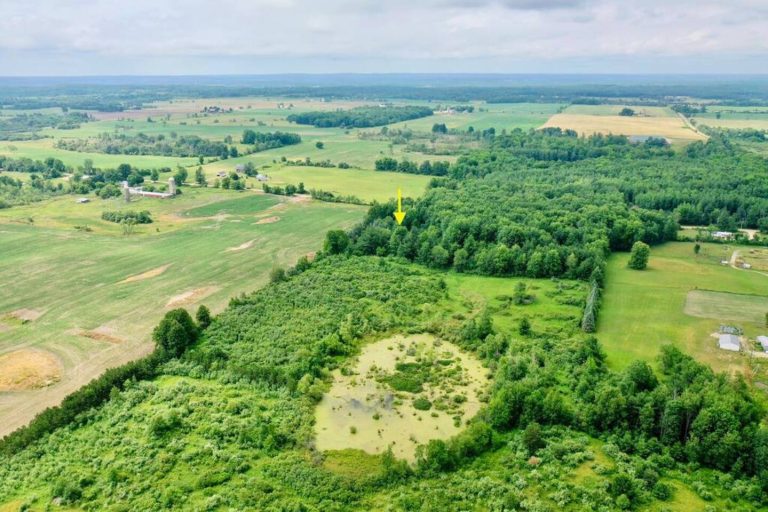 1.5 miles of trails wind through apples trees, grassy fields, ponds, thick brush and dense woods. Setback 300 feet from the road with no other visible homes you will feel the privacy and peace of mind immediately.