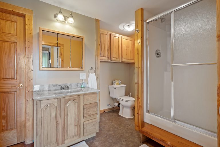 Bathroom with walk-in shower House in Reed City, Michigan — Lakeside Lodge Retreat, hosted by Roam