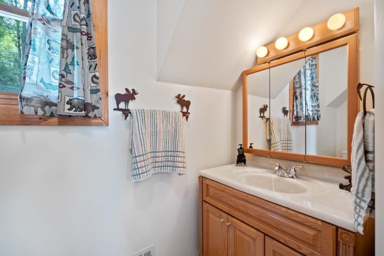 Powder room with wildlife decor House in Reed City, Michigan — Lakeside Lodge Retreat, hosted by Roam
