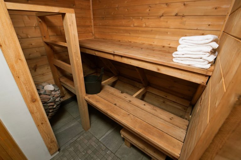 Electric Sauna in Basement